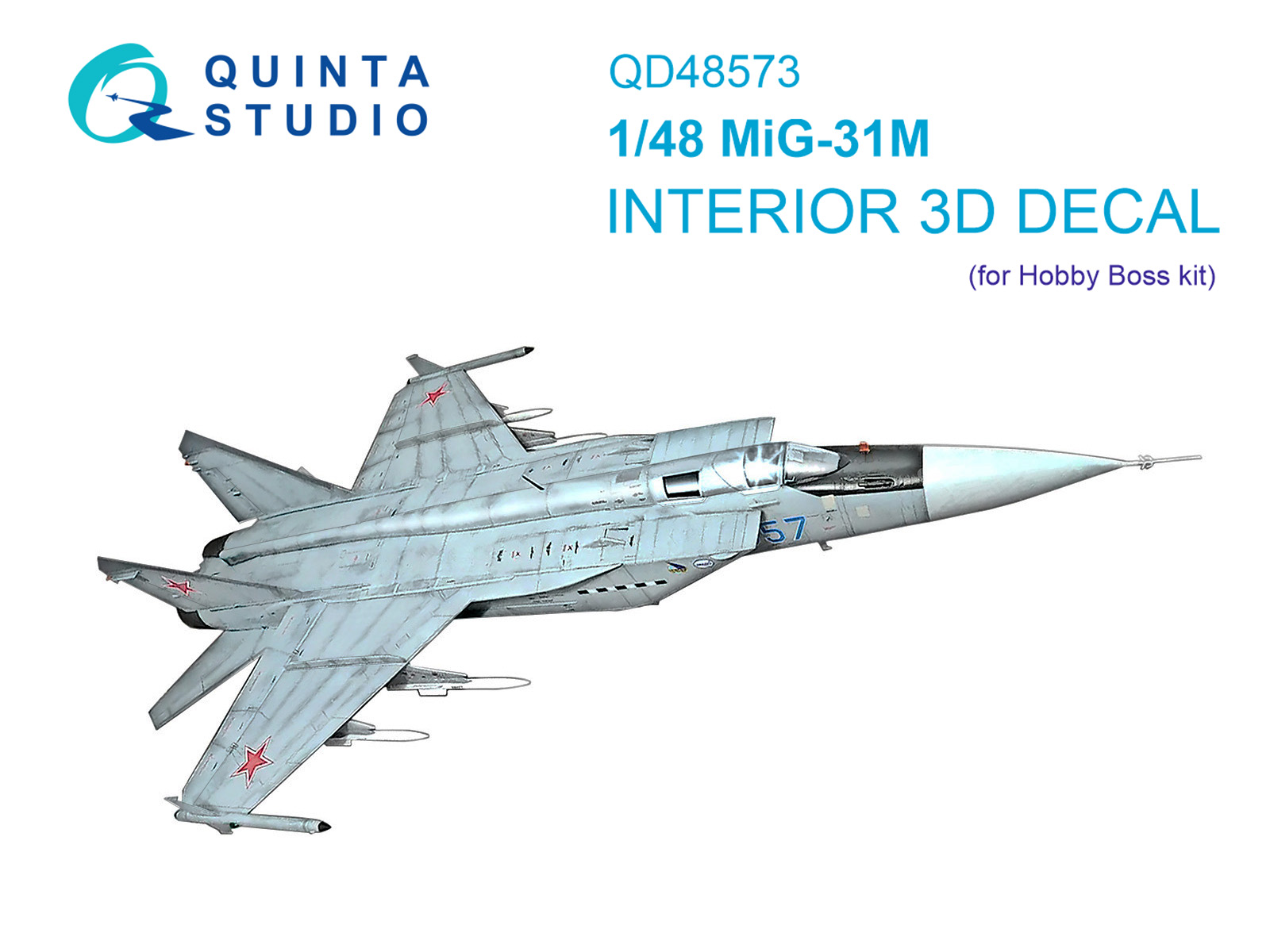 MiG-31M 3D-Printed & coloured Interior on decal paper (Hobby Boss)