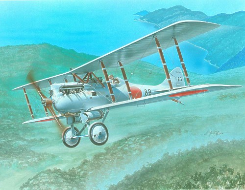 Model kit 1/72 Nakajima KO-4: 3 x Japanese and 1 Siamese decal (Frrom-Azur)