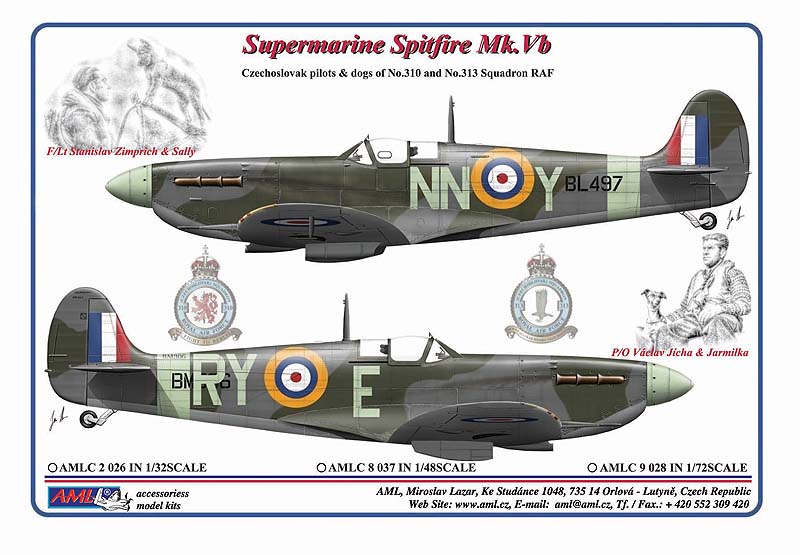 Decal 1/72 Czechoslovak pilots & dogs of No.310 and No.313 Squadron RAF (AML)