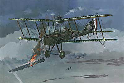Model kit 1/48 Royal Aircraft Factory Be.12b (Roden)