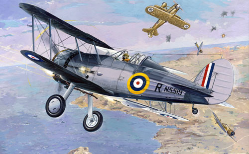 Model kit 1/48 Gloster Sea Gladiator Mk.I (Roden)