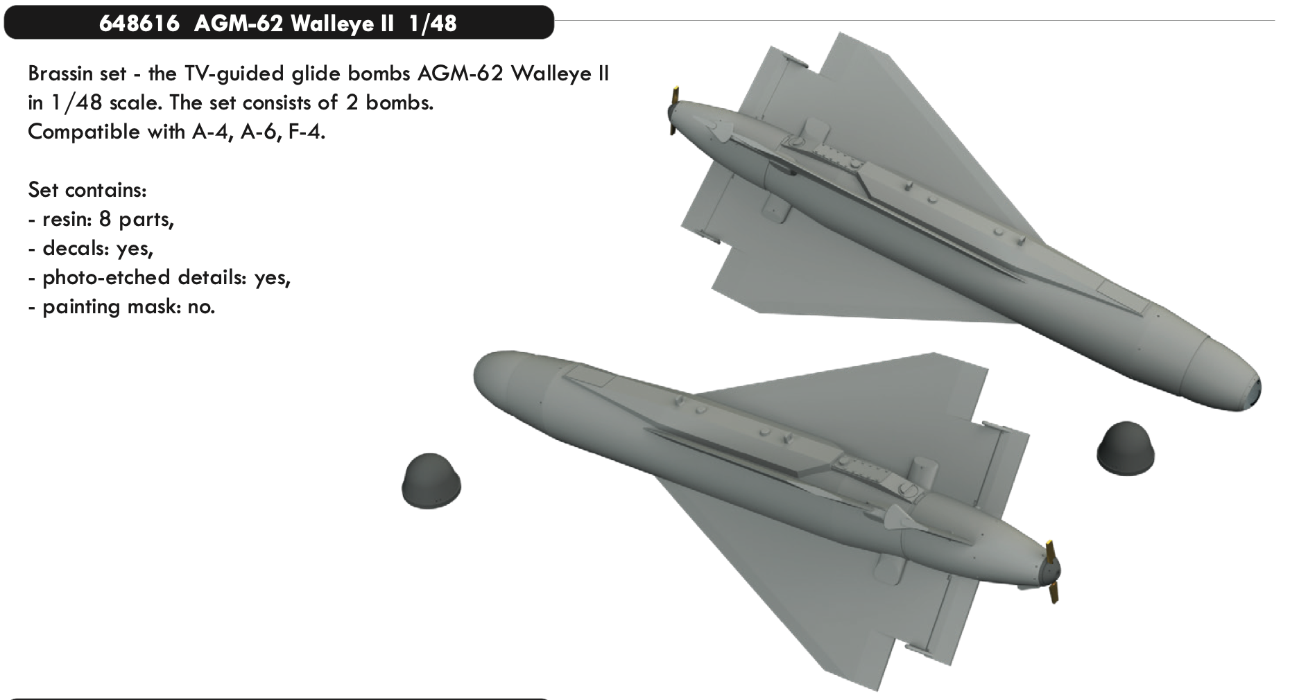 Additions (3D resin printing) 1/48 AGM-62 Walleye II