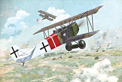 Model kit 1/48 Fokker D.VII Alb (late) (Roden)