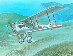 Model kit 1/72 Nakajima KO-4: 3 x Japanese and 1 Siamese decal (Frrom-Azur)