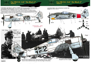 Decal 1/48 Fw-190 F-8 / A-8  (Luftwaffe black 2) (HAD)