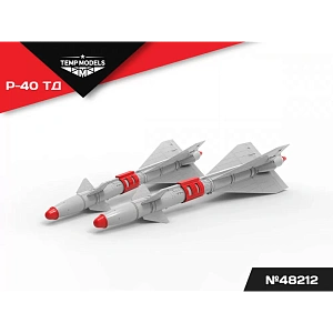 Additions (3D resin printing) 1/48 HIGHLY DETAILED MISSILE R-40 TD (Temp Models)