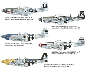 Decal 1/32 P-51D-5 '8th AF' (TAM/REV)