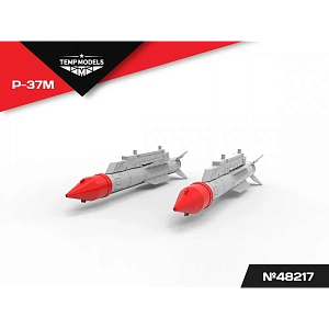 Additions (3D resin printing) 1/48 HIGHLY DETAILED MISSILE R-37M (Temp Models)