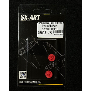 Niche plugs 1/72 for P-40 Warhawk (Special Hobby)