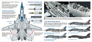 Model kit 1/72 Grumman F-14D Tomcat (Tamiya)