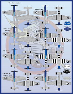 Decal 1/48 "Meyers Maulers Part1" (Furball Aero-Design)