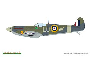 Model kit 1/72 Supermarine Spitfire STORY: The Sweeps DUAL COMBO (Eduard kits)
