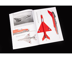 Model kit 1/48 EFKA / Mikoyan MiG-21F-13 (Eduard kits)