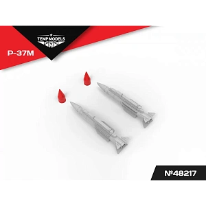 Additions (3D resin printing) 1/48 HIGHLY DETAILED MISSILE R-37M (Temp Models)