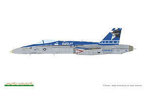 Model kit 1/48 Hornet Legacy (Limited Edition) (Eduard kits)