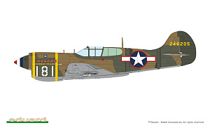 Model kit 1/48 Curtiss P-40K short tail The ProfiPACK edition kit (Eduard kits)