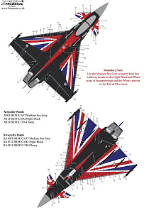 Decal 1/72 Blackjack' RAF 2021 Display Eurofighter Typhoon FGR.4  (Xtradecal)