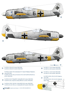 Decal 1/48 Fw-190 A3 Jg 51 part I (Colibri Decals)