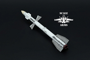 Additions (3D resin printing) 1/48 R-27ER missile with launcher (Scale Arms)