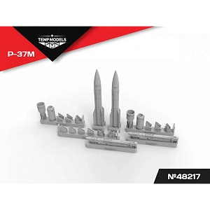 Additions (3D resin printing) 1/48 HIGHLY DETAILED MISSILE R-37M (Temp Models)