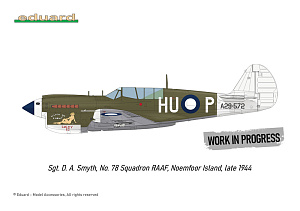 Model kit 1/48 Curtiss P-40N Warhawk (Royal Class, Dual Combo) (Eduard kits)
