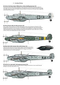 Aircraft books AM-17 The Messerschmitt Bf-110 (Valiant Wings Publishing)