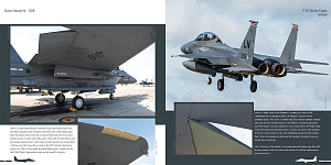 Aircraft books Duke Hawkins:McDonnell F-15E Strike Eagle (HMH-Publications)