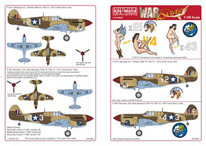 Decal 1/48 Curtiss P-40's (Kits-World)