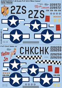 Decal 1/48 Republic P-47D-28-RA Thunderbolt (Kits-World)