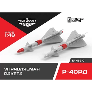 Additions (3D resin printing) 1/48 HIGHLY DETAILED MISSILE R-40 RD (Temp Models)