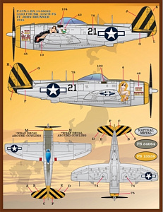 Decal 1/48 Colors and Markings of Republic P-47N Thunderbolt (Furball Aero-Design)