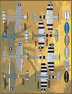 Decal 1/48 Colors & Markings of Republic P-47s Thunderbolts Part 3t (Furball Aero-Design)