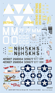 Decal 1/48 P-38J over Europe (TAM)