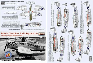 Decal 1/48 Black Checker Tail Sqdr. (4x camo) (Rising Decals)