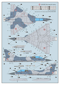 Model kit 1/72 Dassault Mirage 2000C (Dream Model) 