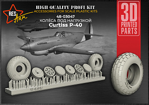 Additions (3D resin printing) 1/48 Curtiss P-40 Wheels under load (RESArm)