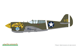 Model kit 1/48 Curtiss P-40E Warhawk (The ProfiPACK edition kit) (Eduard kits)
