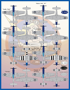 Decal 1/48 "Meyers Maulers Part2" (Furball Aero-Design)