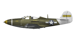 Model kit 1/48 P-39 Airacobra RECON (3x camo) (Arma Hobby)