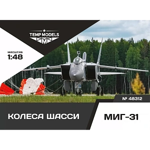 Additions (3D resin printing) 1/48 HIGHLY DETAILED WHEEL SET MIG-31 (Temp Models) 