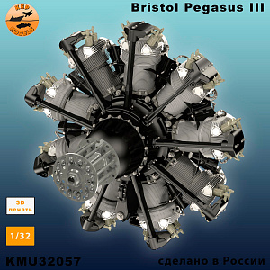 Additions (3D resin printing) 1/32 Engine ASH-82 (KepModels)