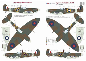 Decal 1/72 303 Squadron RAF, Supermarine Spitfire Mk.IIb (AML)