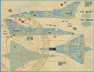 Decal 1/48 IAI F-21A Lion Cubs (Furball Aero-Design)