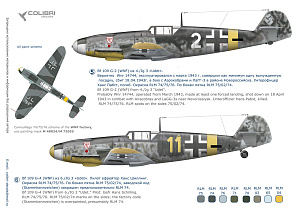 Decal 1/72 BF 109 G-2/G-4 Battles over Kuban (Colibri Decals)