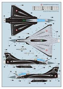 Model kit 1/72 Dassault Mirage 2000C (Dream Model) 