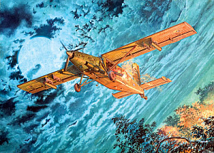 Model kit 1/48 Fairchild AU-23A Peacemaker (Roden)