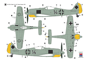 Model kit 1/32 Focke-Wulf Fw-190A-5/A-6 Nachtjager (Hobby 2000)