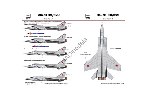 Decal 1/48 MiG-31 BM/BSM (5x Russian camo) (HAD)
