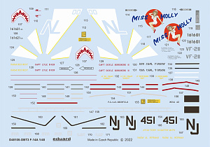 Decal 1/48 F-14A (TAM)