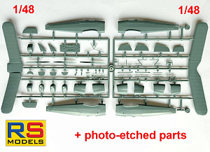 Model kit 1/48 Bucker Bu-131D Jungmann (RS Models)